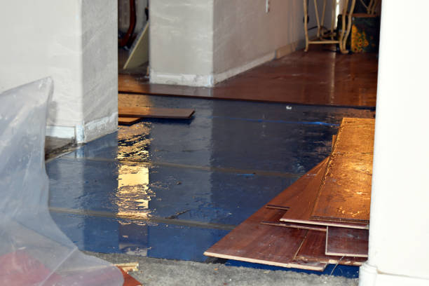 Professional Water Extraction technician working in Climax, MI